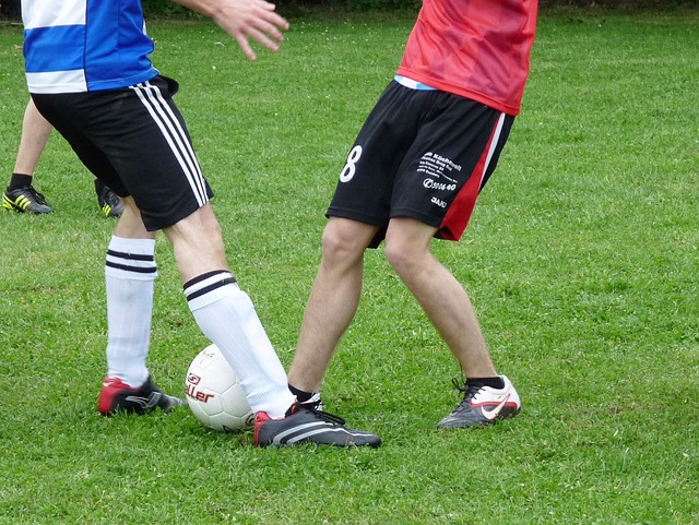 形式也变得 形式也变得