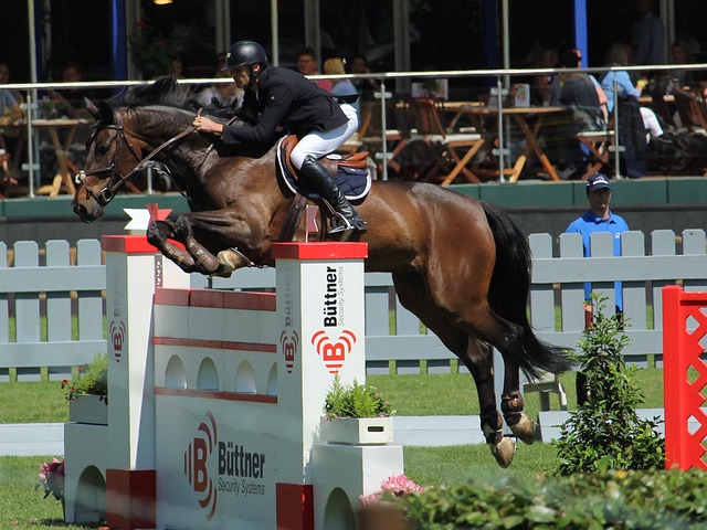 也是对城市 也是对城市